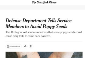 NY Times article